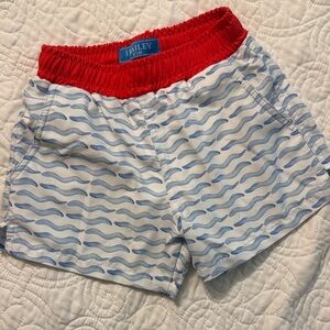 Bailey Boys Red and Blue Kids Swim Trunks